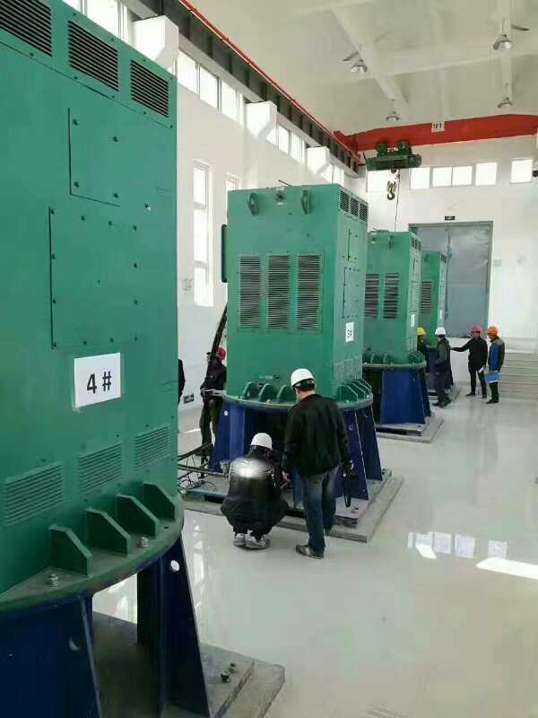惠农某污水处理厂使用我厂的立式高压电机安装现场